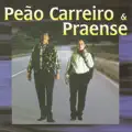 O LOBO E A LUA