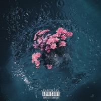 Un Motivo (feat. Velenox) - Single - Rizzo