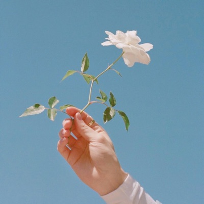 perfectly wrong (feat. Vict Molina) - Single