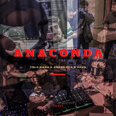 Anaconda - Single