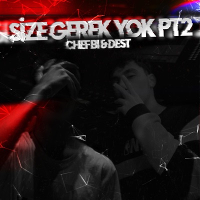 Size Gerek Yok, Pt. 2 - Single
