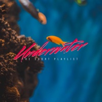 Underwater - Remitano