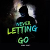 Never Letting Go - Single artwork