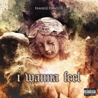 I Wanna Feel - Single - Frankie Flawless