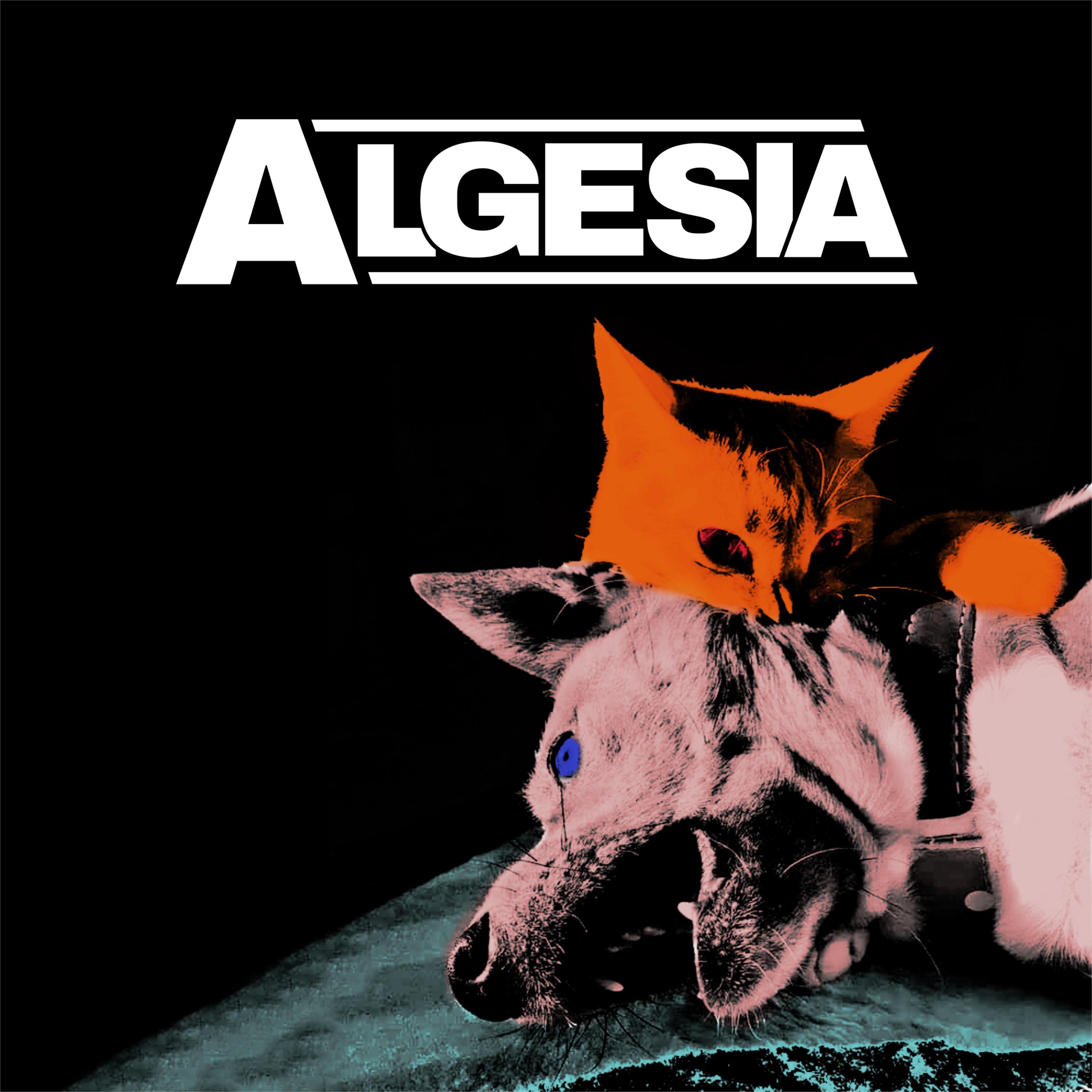 Algesia