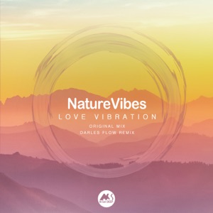 Love Vibration - Single