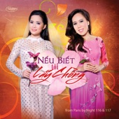 Nếu Biết Tôi Lấy Chồng artwork