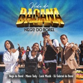 Vida de Bacana (feat. Dj Gabriel do Borel) artwork