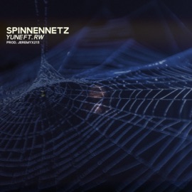Spinnennetz (feat. RW) Yune