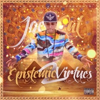 Epistemic Virtues 2 - JoeCat