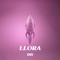 Llora - Estani lyrics