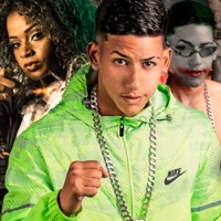 Mina Mercenária (feat. Mc Dricka) - Single - Vitinho Polêmico