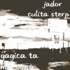 Gagica Ta Ma Suna - Single