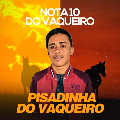 Pisadinha do Vaqueiro - Saudade do Neguinho