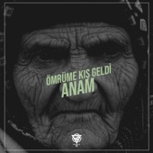 Ömrüme Kış Geldi Anam artwork