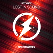 Lost In Sound artwork