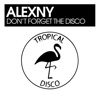 Don't Forget the Disco - Single