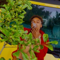 Jungle Book - Champagne Wody