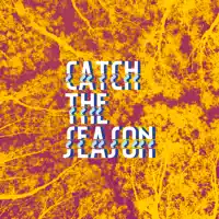Catch the Season — The Max Meser Group