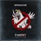 Parrot - Spinache lyrics