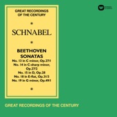 Beethoven: Piano Sonatas Nos 13, 14 "Moonlight", 15, 18 "The Hunt" & 19 artwork