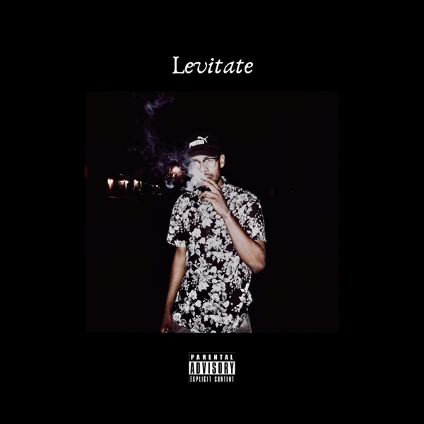 Levitate - Single