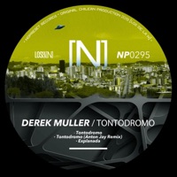 Tontodromo - Single - Derek Muller