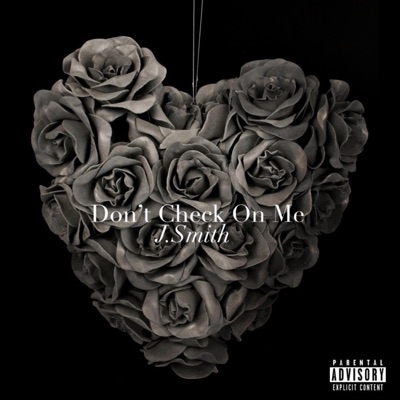 Don't Check on Me - Single