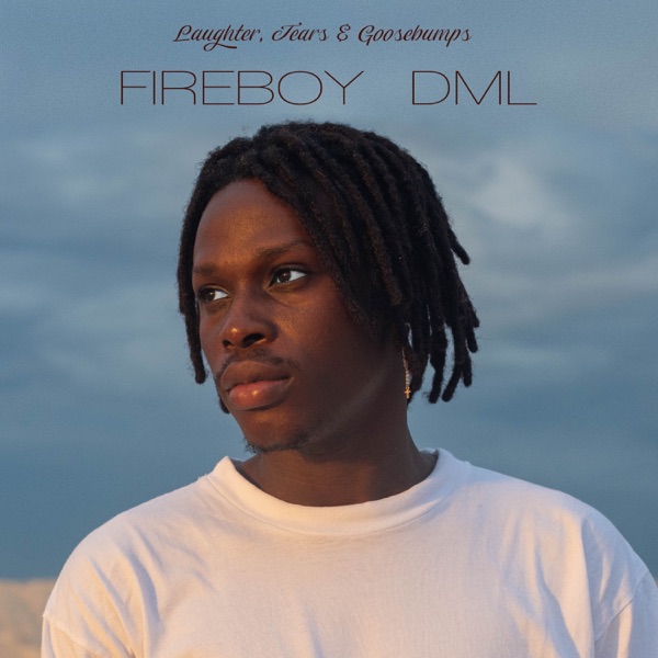 Fireboy DML - Laughter, Tears & Goosebumps