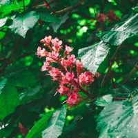 I Don't Want to Wait! - Single - Jasepy