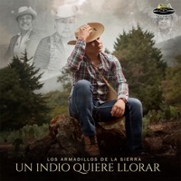 Los Armadillos de la Sierra - Un Indio Quiere Llorar