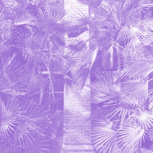 Awakening - EP