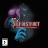 Self Destruct - Single
