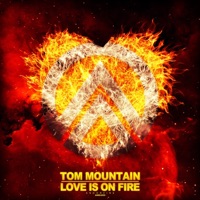 Love Is on Fire - Single - Tom Mountain