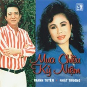 Mưa Chiều Kỉ Niệm artwork