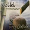 Awakening Heart - Terry Oldfield lyrics