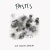 Pastis - Why Do You Still Hurt