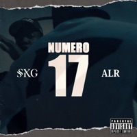Numéro 17 (feat. alr) - Single - SKG
