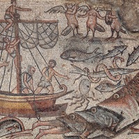 Alışmamalı - Single - Ahmet Ali Arslan