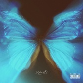 NATIONAL ANTHEM (GROWING WINGS) artwork