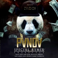 Panda (Spanish Version) [feat. Ronko OG, Baby Zoom, Biancucci, Pandesousa, Chezzy Torres & Alez Blanko] - Single - Crilo Champions, Blak Dc & Neblinna
