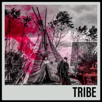 Tribe - Single - Skoden