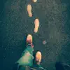 Jaywalkers - Siete