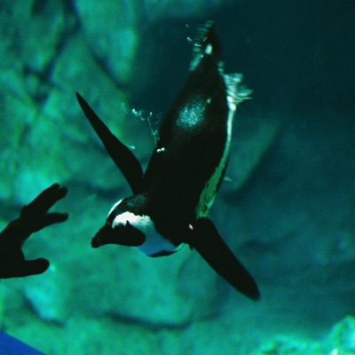 Oceans of Time - Single