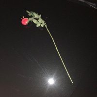 La Speranza Muore - Single - KOKO.IT