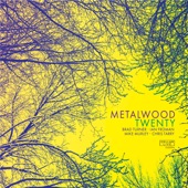 Metalwood - Rooftops