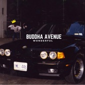 Buddha Avenue - Telegraph Flow