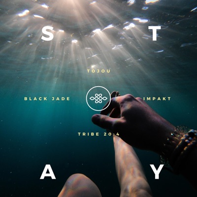 Stay (feat. Tojou) - Single