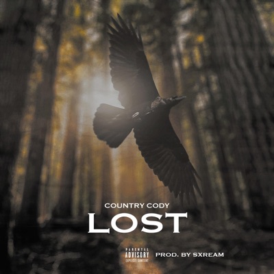 Lost - Single