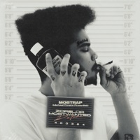 Zorilor Most Wanted (Deluxe) - Mobtrap